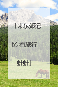 来东郊记忆 看旅行蛙蛙