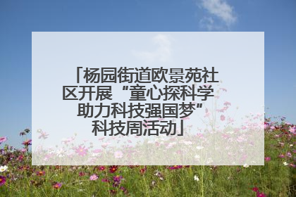 杨园街道欧景苑社区开展“童心探科学 助力科技强国梦”科技周活动