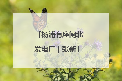 杨浦有座闸北发电厂｜张新