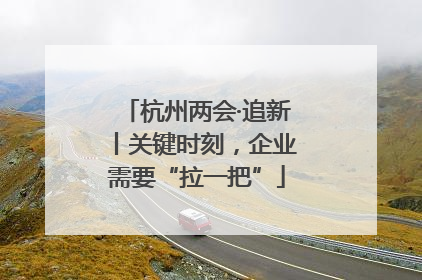 杭州两会·追新丨关键时刻，企业需要“拉一把”