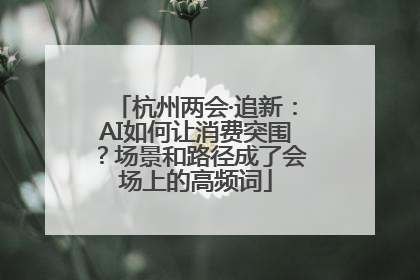 杭州两会·追新：AI如何让消费突围？场景和路径成了会场上的高频词