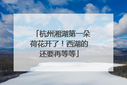 杭州湘湖第一朵荷花开了！西湖的还要再等等