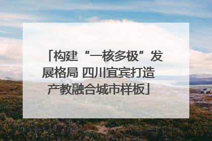 构建“一核多极”发展格局 四川宜宾打造产教融合城市样板