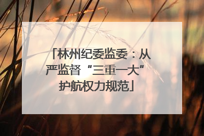 林州纪委监委：从严监督“三重一大” 护航权力规范