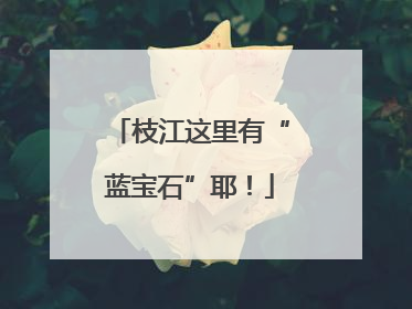 枝江这里有“蓝宝石”耶！