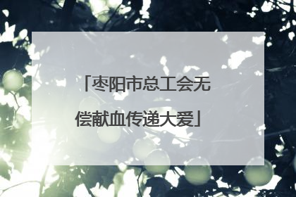 枣阳市总工会无偿献血传递大爱