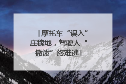 摩托车“误入”庄稼地，驾驶人“撒泼”终难逃