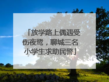 放学路上偶遇受伤夜鹭，聊城三名小学生求助民警