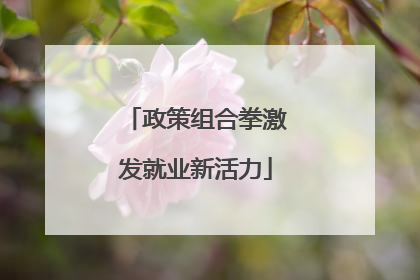 政策组合拳激发就业新活力