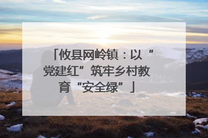 攸县网岭镇：以“党建红”筑牢乡村教育“安全绿”