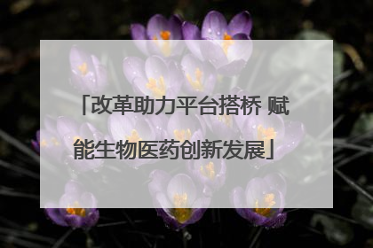 改革助力平台搭桥 赋能生物医药创新发展