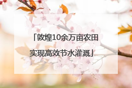 敦煌10余万亩农田实现高效节水灌溉