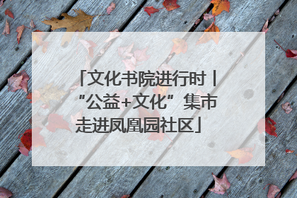 文化书院进行时丨“公益+文化”集市走进凤凰园社区