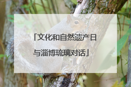 文化和自然遗产日与淄博琉璃对话