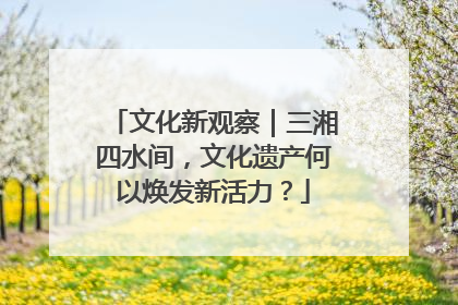 文化新观察｜三湘四水间，文化遗产何以焕发新活力？