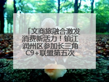 文商旅融合激发消费新活力！镇江润州区参加长三角C9+联盟第五次联席会议