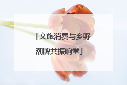 文旅消费与乡野潮牌共振响堂