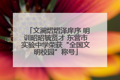 文澜熠熠泽庠序 明训昭昭毓贤才 东营市实验中学荣获“全国文明校园”称号
