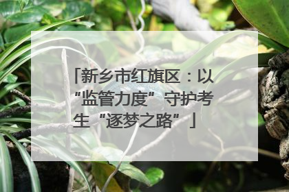 新乡市红旗区：以“监管力度”守护考生“逐梦之路”