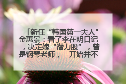 新任“韩国第一夫人”金惠景：看了李在明日记，决定嫁“潜力股”，曾是钢琴老师，一开始并不支持丈夫从政
