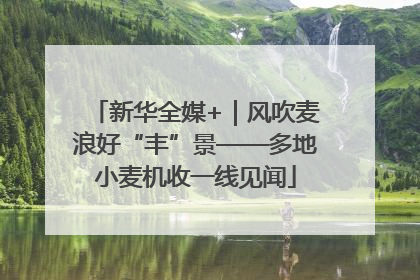 新华全媒+｜风吹麦浪好“丰”景——多地小麦机收一线见闻