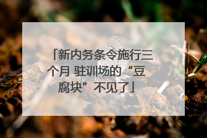 新内务条令施行三个月 驻训场的“豆腐块”不见了