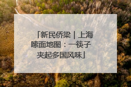 新民侨梁｜上海嗦面地图：一筷子夹起多国风味