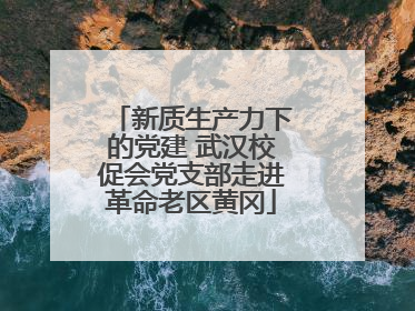 新质生产力下的党建 武汉校促会党支部走进革命老区黄冈