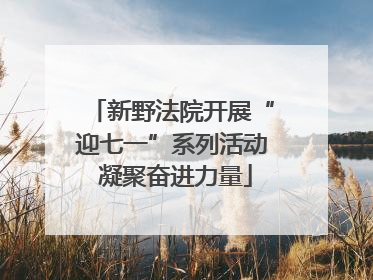 新野法院开展“迎七一”系列活动 凝聚奋进力量