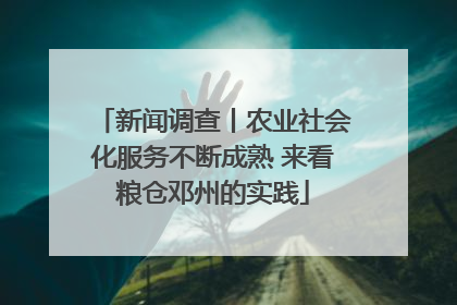 新闻调查丨农业社会化服务不断成熟 来看粮仓邓州的实践