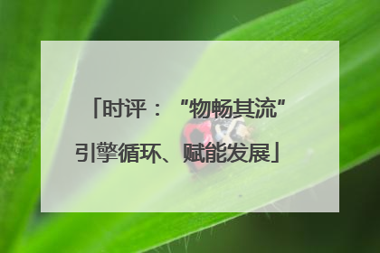 时评：“物畅其流”引擎循环、赋能发展