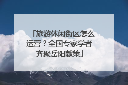 旅游休闲街区怎么运营？全国专家学者齐聚岳阳献策