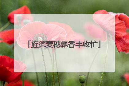 旌德麦穗飘香丰收忙