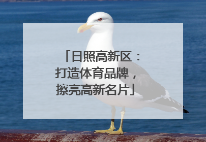 日照高新区：打造体育品牌，擦亮高新名片