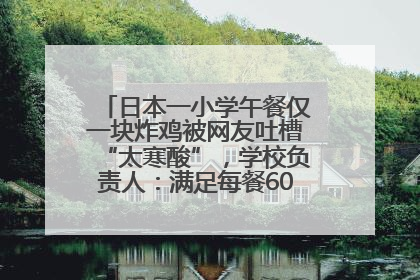 日本一小学午餐仅一块炸鸡被网友吐槽“太寒酸”，学校负责人：满足每餐600千卡的标准