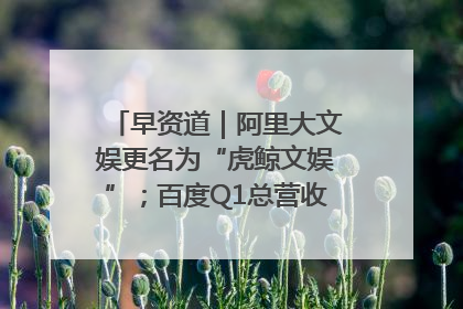 早资道｜阿里大文娱更名为“虎鲸文娱”；百度Q1总营收325亿元超预期