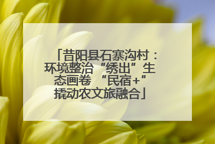 昔阳县石寨沟村：环境整治“绣出”生态画卷 “民宿+”撬动农文旅融合