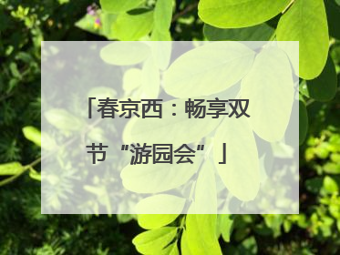 春京西：畅享双节“游园会”