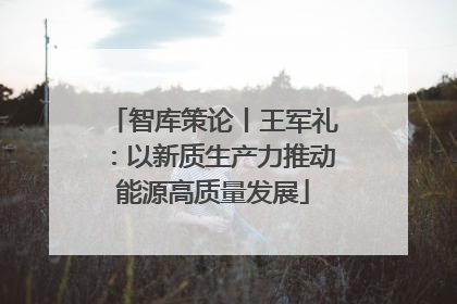 智库策论丨王军礼：以新质生产力推动能源高质量发展