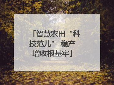 智慧农田“科技范儿” 稳产增收根基牢