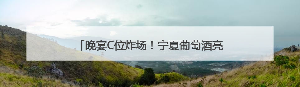 晚宴C位炸场！宁夏葡萄酒亮相西博会，获中外嘉宾好评！