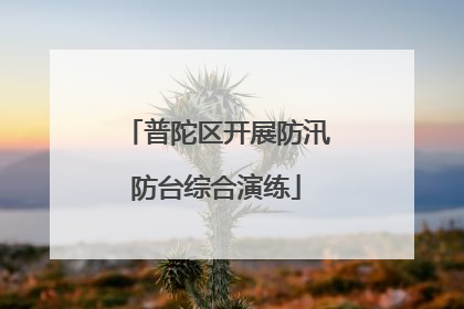 普陀区开展防汛防台综合演练