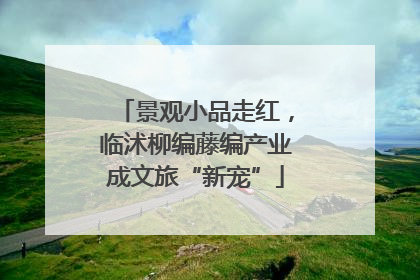 景观小品走红，临沭柳编藤编产业成文旅“新宠”