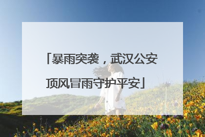 暴雨突袭，武汉公安顶风冒雨守护平安