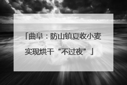 曲阜：防山镇夏收小麦实现烘干“不过夜”