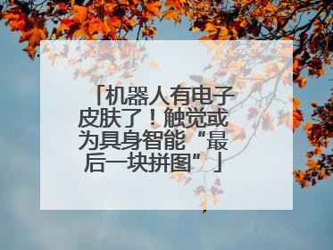机器人有电子皮肤了！触觉或为具身智能“最后一块拼图”