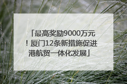 最高奖励9000万元！厦门12条新措施促进港航贸一体化发展