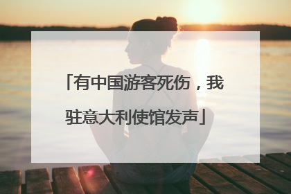 有中国游客死伤，我驻意大利使馆发声