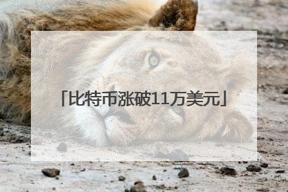 比特币涨破11万美元