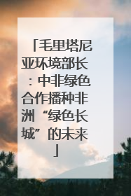 毛里塔尼亚环境部长：中非绿色合作播种非洲“绿色长城”的未来
